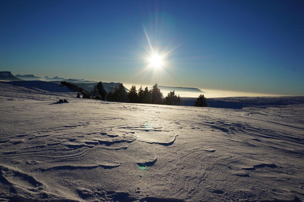 Le Pre Du Lac Saint-Jorioz Buitenkant foto